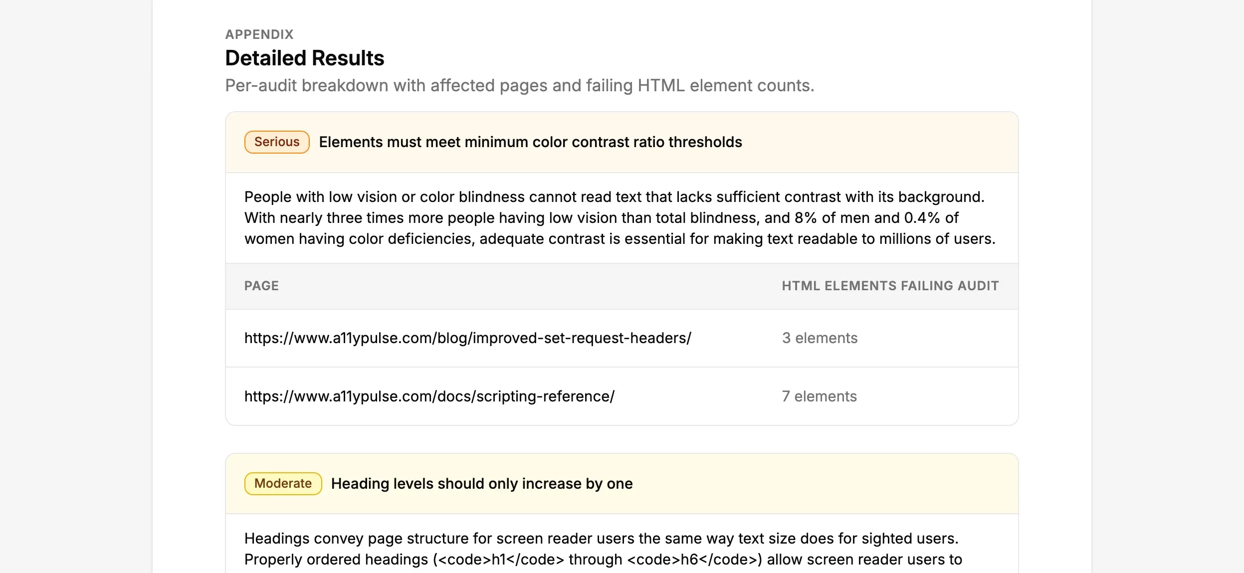 Detailed Results appendix showing expanded audit descriptions with affected pages and failing HTML element counts
