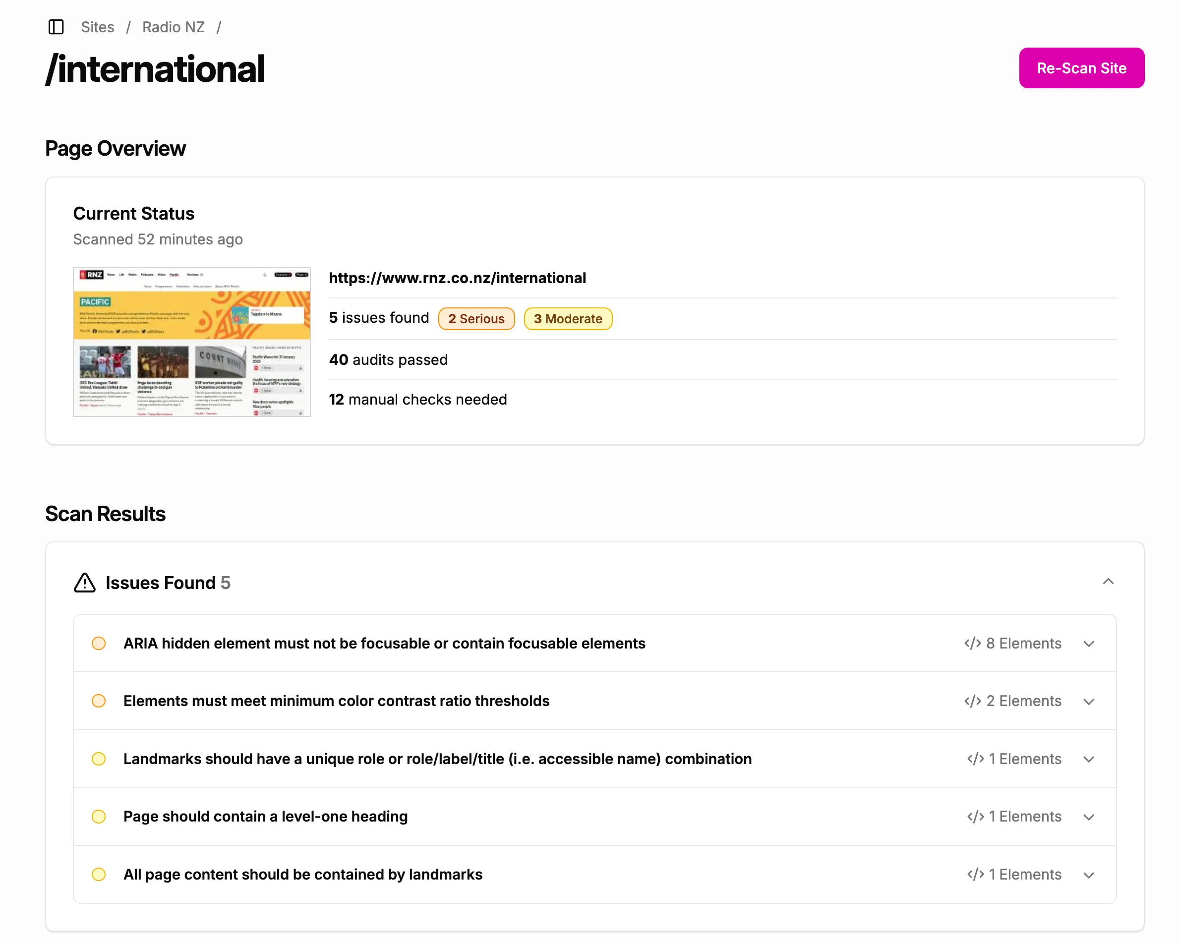 Screenshot showing the details of a specific page's accessibility report