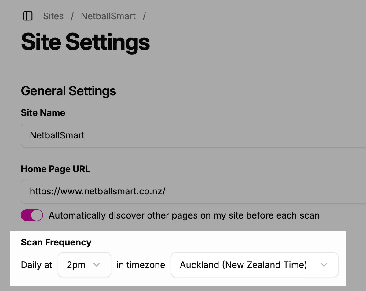 Screenshot showing the site scan settings in A11y Pulse