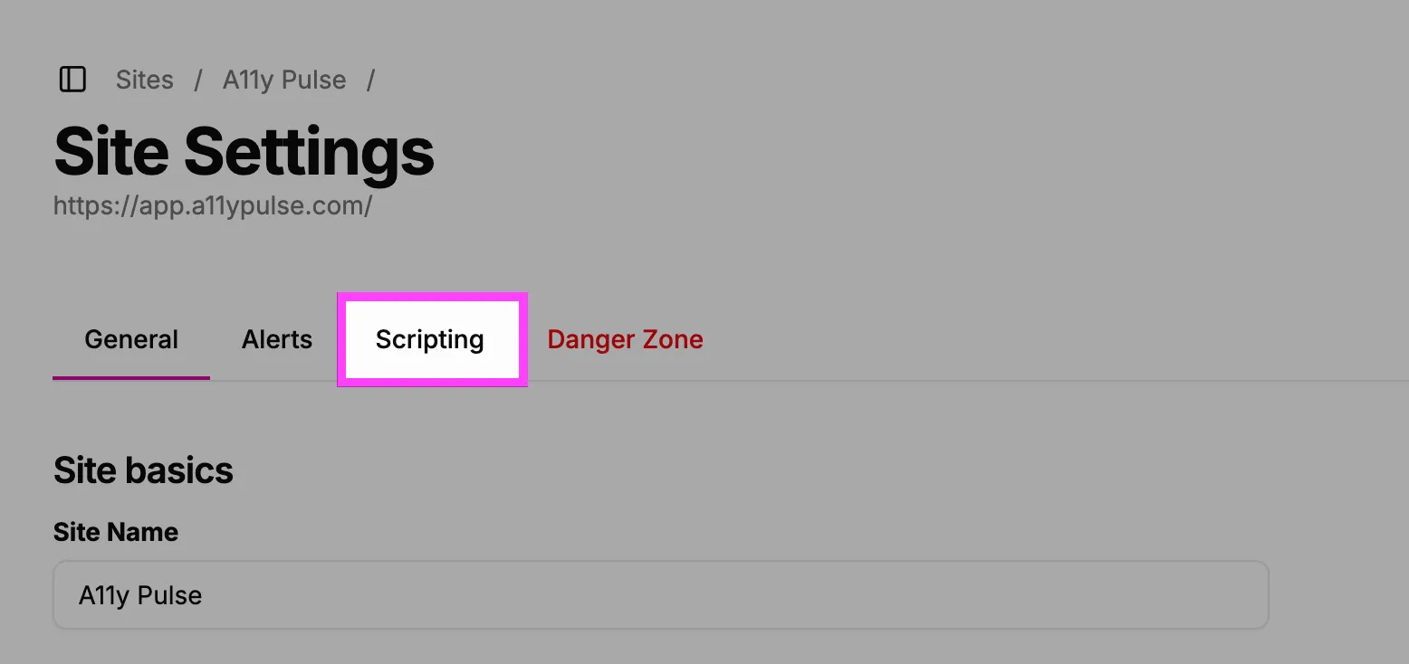 Screenshot showing the location of the 'Scripting' tag